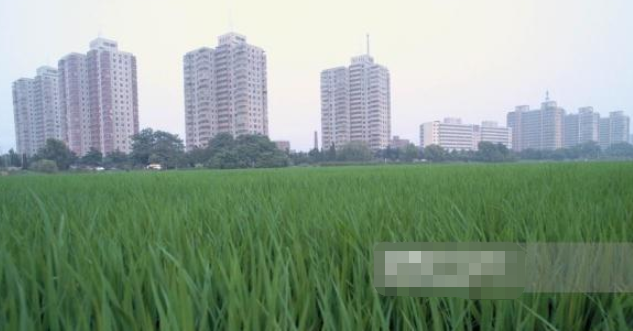 老照片：90年代中国老照片: 图4已经绝迹、图6至今仍买不起、图8有钱人标配