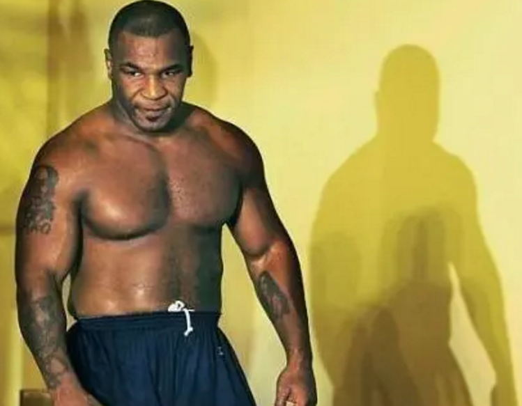 火星探测|很久以前，泰森为了证明自己，花钱跟银背大猩猩单挑打架结果如何