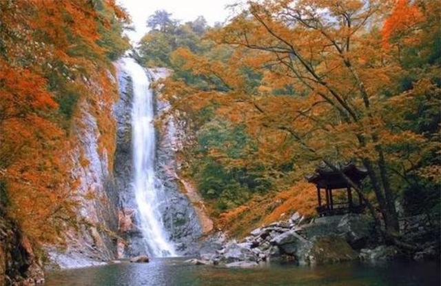 天堂寨|爱了！我国这座“零差评”5A景区，门票100可玩两天，景色不输庐山