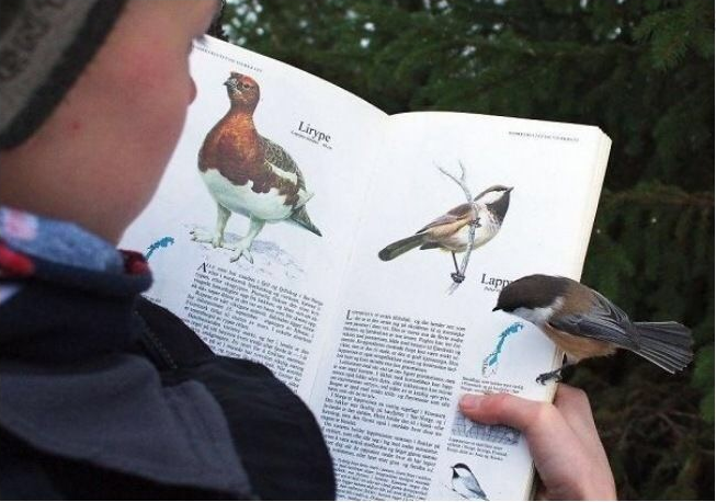 |26个不可能发生的巧合，但它就是发生了！