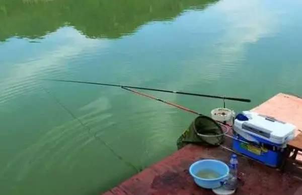 @野钓鲤草,找对位置了,渔获自然也就没问题了