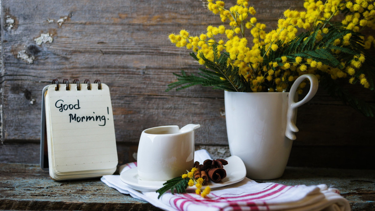 双子座|10月中旬，藏不住喜欢，演不出热情，3星座无心风月，独钟情一人