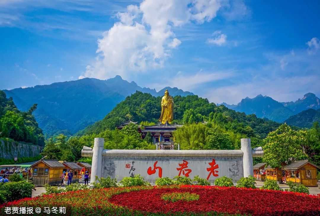 洛阳|就是牛：洛阳又拿第一！
