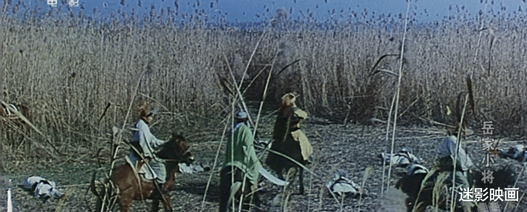 岳云|38年前的武侠神作，《少林寺》后又一部真功夫片，至今奉为经典