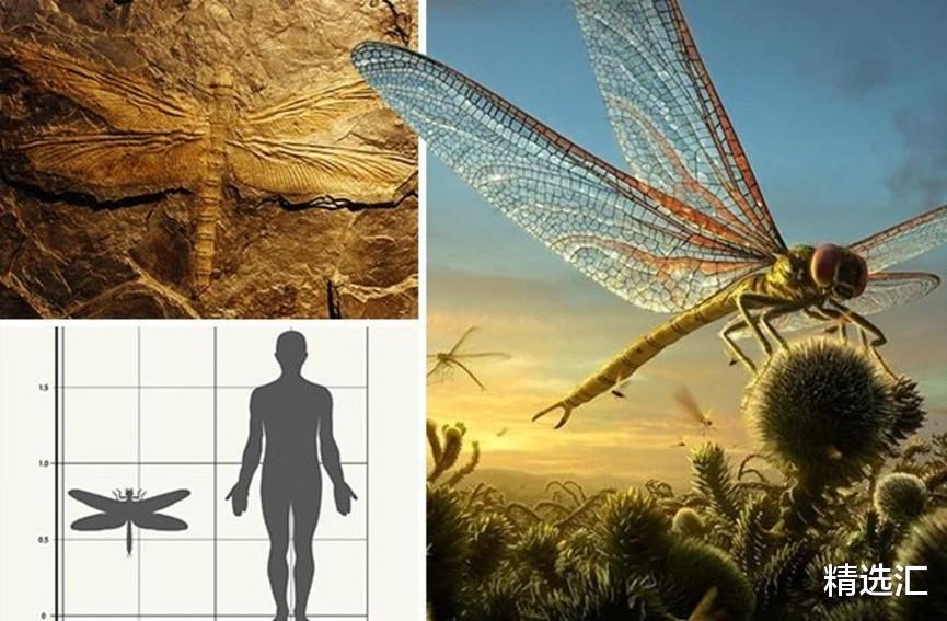 化石|奇特的灭绝生物：人类或许会庆幸已经灭绝的7个可怕生物