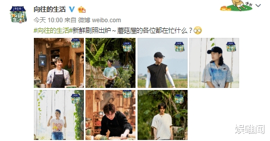 「薇娅」网红和艺人有何区别？薇娅来蘑菇屋，黄磊和何炅的接待已说明一切