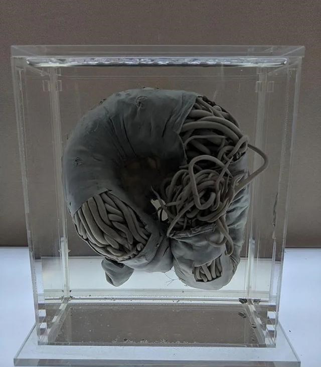 「」一组让你大开眼界的自然场景，最后那张图是不是骗到你了？