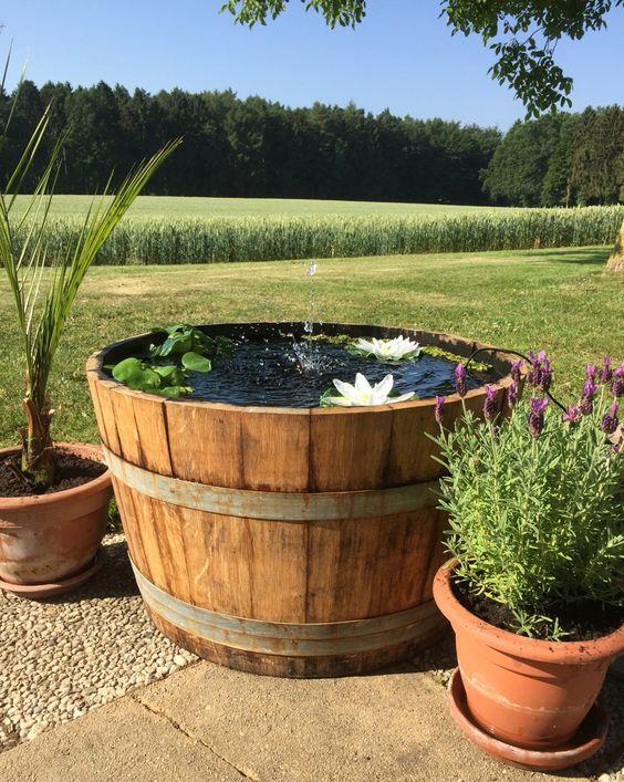 池塘|挖坑造池塘多费事,院子里放几个旧木桶,不花一分钱造出4种水景