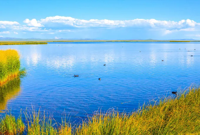 66号公路▲中国的66号公路！这条藏在川西的草原天路，每一帧都是流动的大片|思鹿旅行推荐