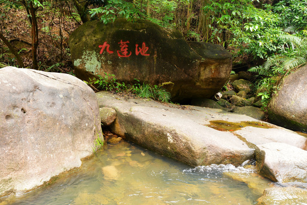 「中山」中山市逍遥谷里并不逍遥，谁去谁知道