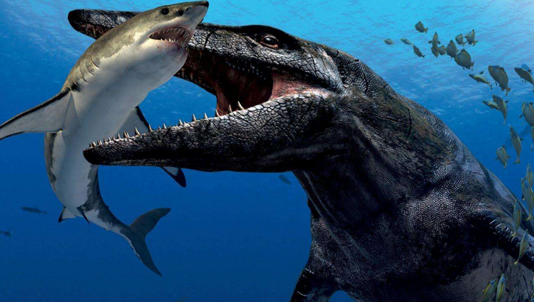 沧龙|史上最凶猛的海洋霸主，曾经统治整个海洋，沧龙到底有多可怕？