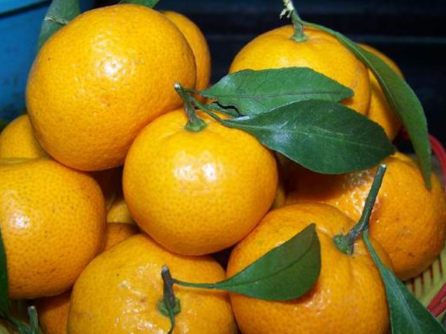 『苦瓜』尿酸高的人注意，每天坚持吃这4种食物，或助你排出体内多余尿酸