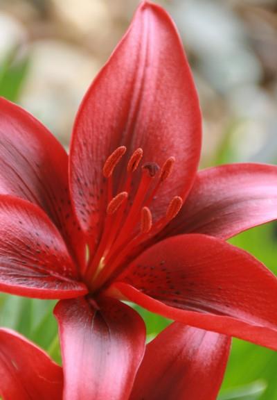 射手座|10月下旬，天赐桃花运来袭，爱情躲不过，爱情已接招的四大星座