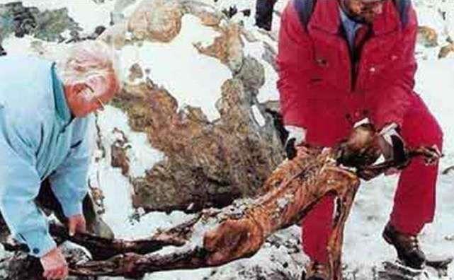 木乃伊@5300年前木乃伊现身!被谋杀于史前世界,7人接触研究全部死亡