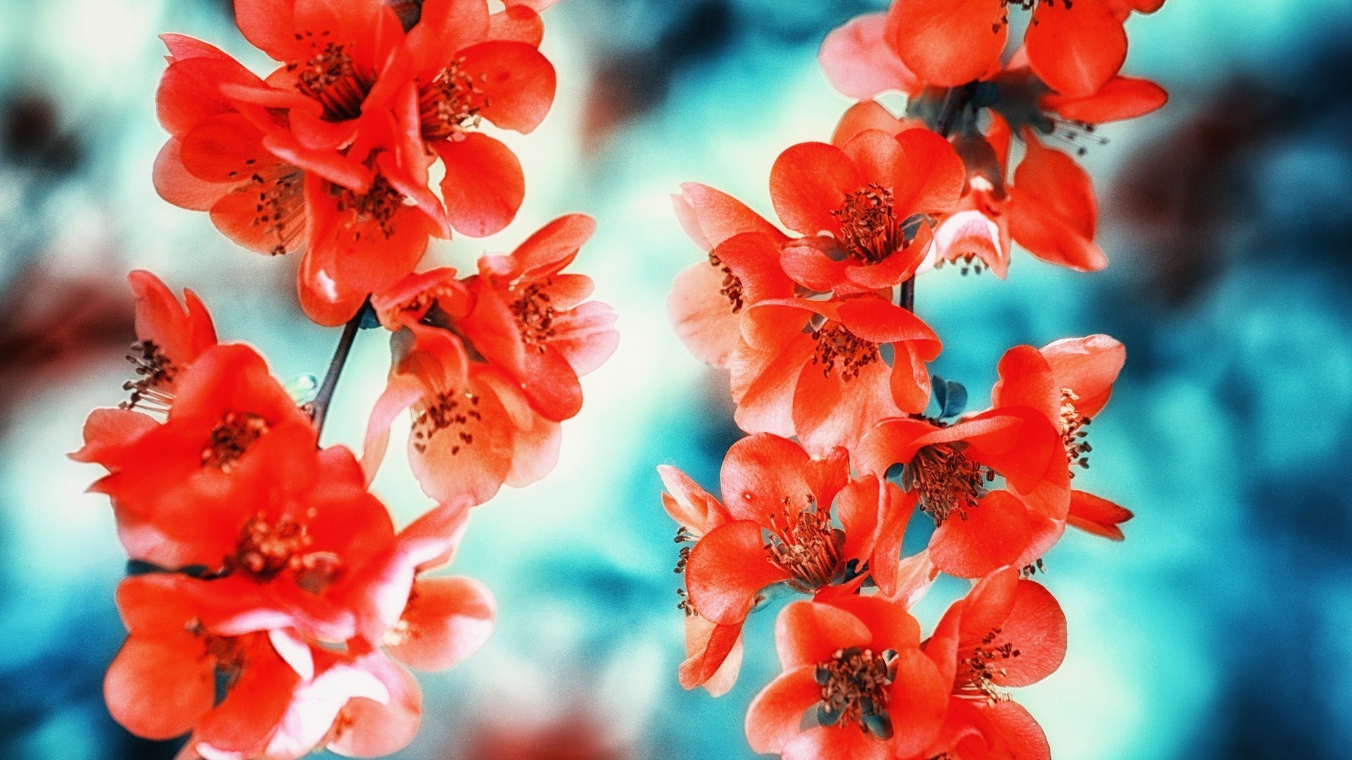 属蛇|属蛇人近期有“危险”，还是避之为好！