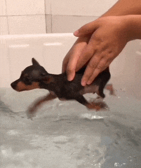 |“大哥你就别装了,眼镜上的反光早就暴露一切了!”哈哈哈哈哈真尴尬啊~