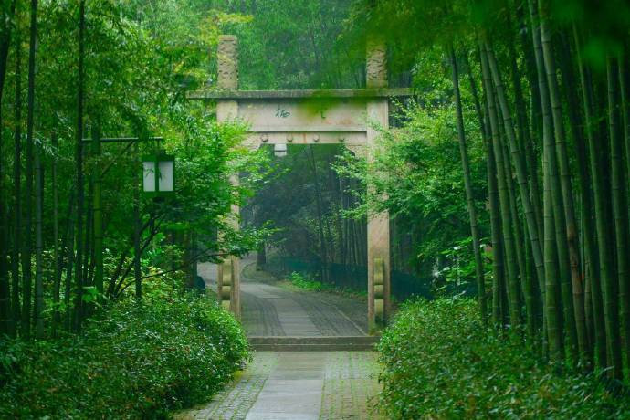 杭州@这才是杭州最美的地方，一生一定要去一次