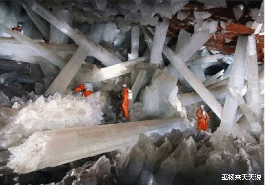 大千世界|9张图让你看到，大千世界真的无奇不有！