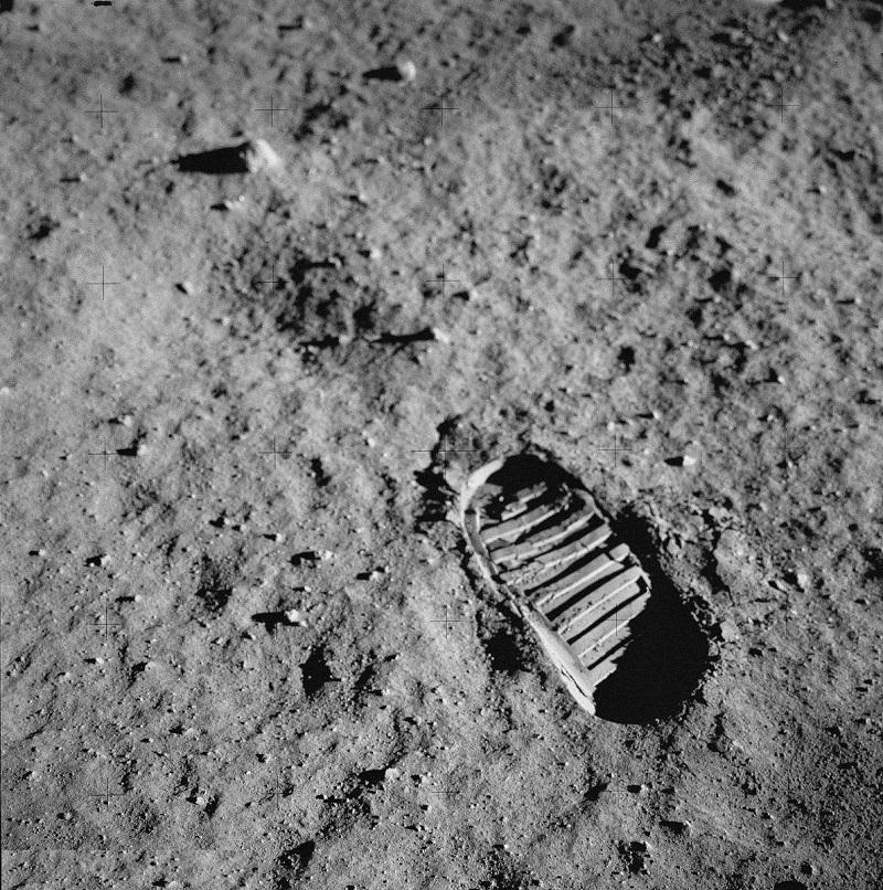 |世界上最著名的三组照片，巨型蚂蚱重达20斤，体长1.2米