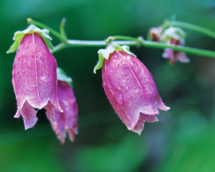 旧爱|未来3个月，福运不断，财运延绵，遍地拾金的3生肖