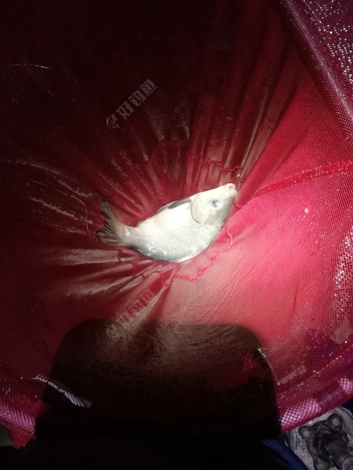 饵料|新车新鞋新头灯新配方，大鱼小鱼齐入护