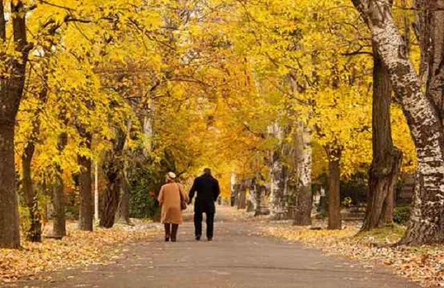 排毒|65岁退休女人说出自己的秘密：最好的长寿方式，就是独处