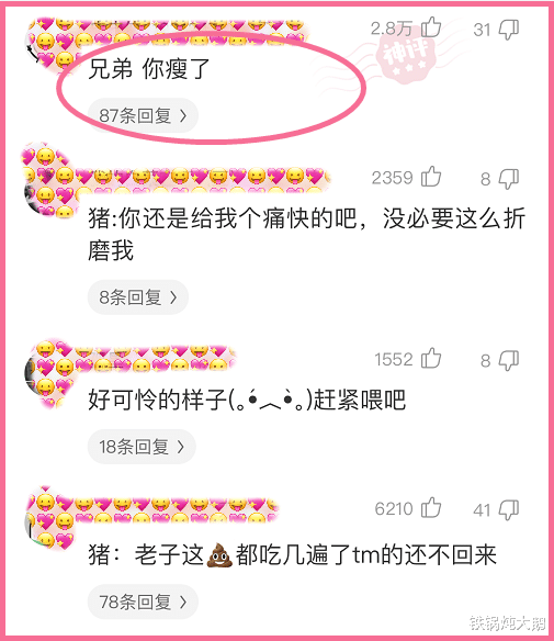 ##“出门一个月了，忘了家里还头猪...”哈哈哈哈是我见过最可怜的猪了...