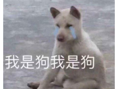 舔狗|魔兽最成功的舔狗？希女王都要倒贴他，啥都没做却成了二把手？