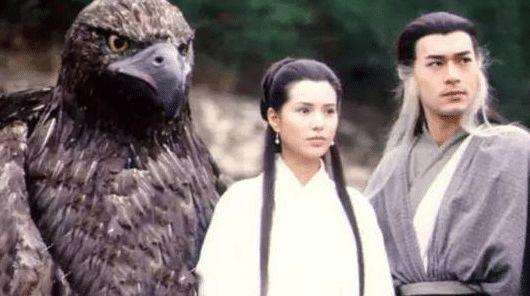 『』原来神雕侠侣中的“神雕”真实存在,罕见稀有体型庞大,全球还不到1000只