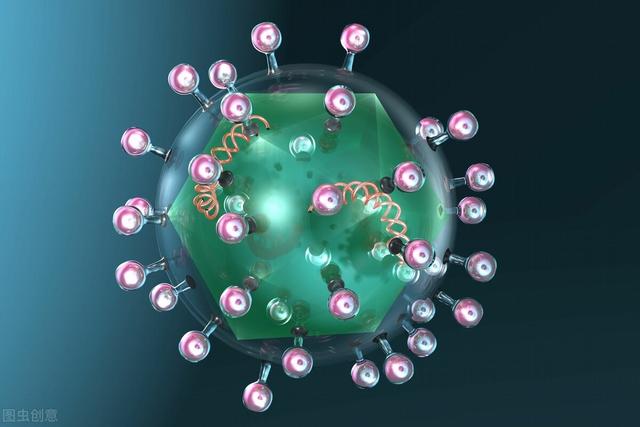 肝癌|28岁女子确诊肝癌，4个月后去世，丈夫痛哭：都是自己隐瞒的错