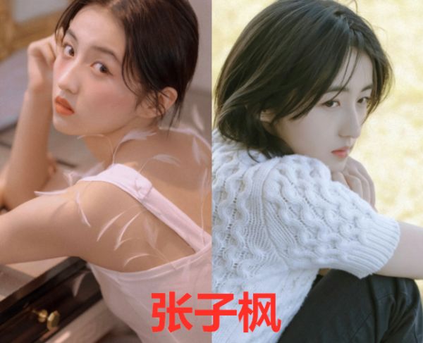 何炅：《向往》的嘉宾学历，何炅是北外，黄磊是北电，看到彭昱畅：有点吃惊！