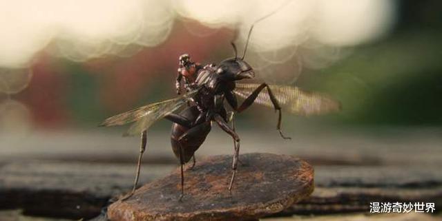 好莱坞电影|20个好莱坞电影中的剧情漏洞，看的时候你发现了吗？