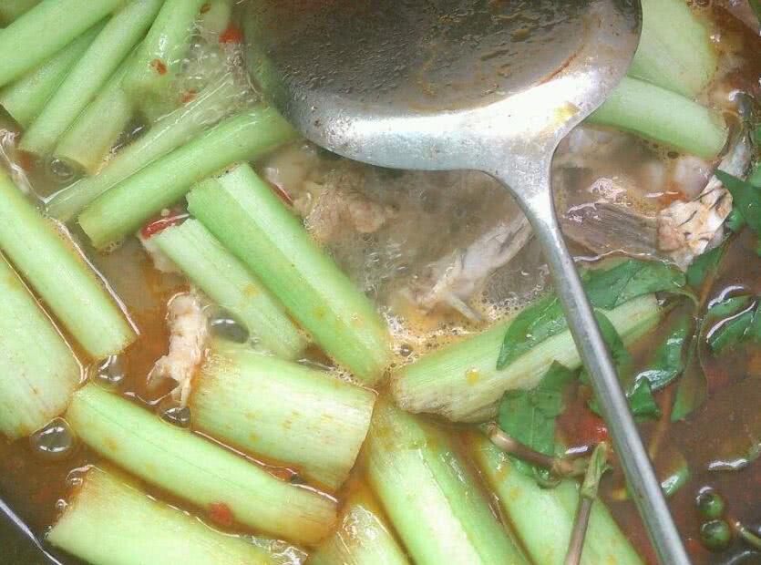 「」这“芋头”只能吃茎秆，亩产3000斤，一斤5元，很多人却不认识