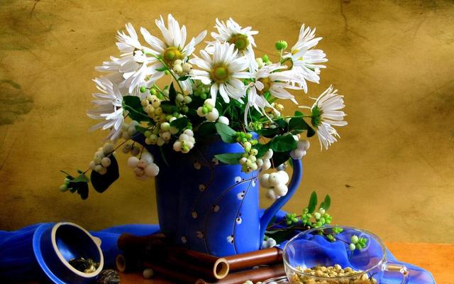 聚会|这3个星座下半年好运回归，水逆退散，不怕压力大