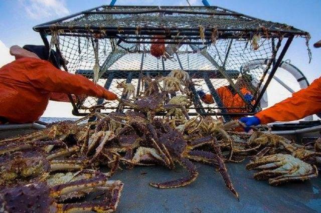 墨语笙歌|全球薪酬最高的工作，上班10天就有上百万工资，却没人肯去干