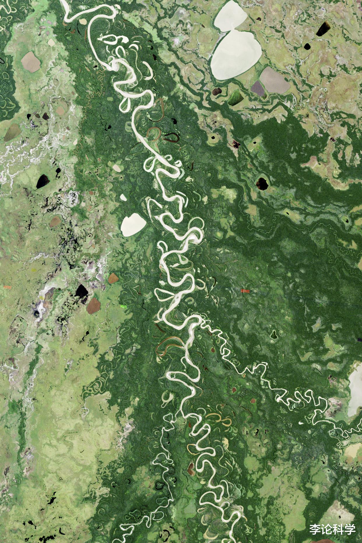 亚马逊河|亚马逊河到底有多可怕？为什么连当地人都不敢在里面游泳？