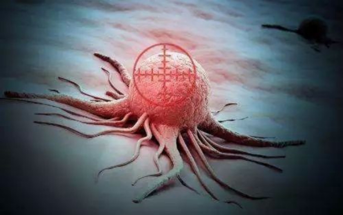 癌细胞|揭秘癌细胞的帮凶,在它的帮助下,癌症每年夺走至少10万人