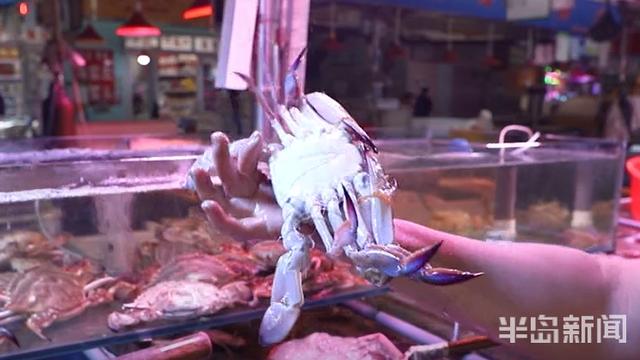 半岛新闻客户端|螃蟹50元、大海螺45元！记者走市场逛码头，青岛最“鲜”海货价格表来了