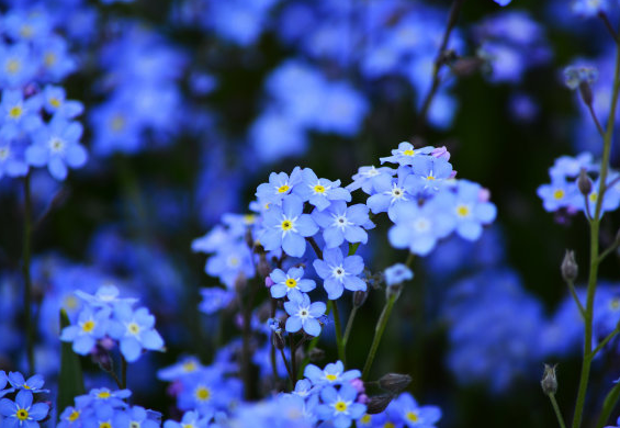 【运势】到了5月中旬，4属相有福有财，横财连连发，生活越来越好