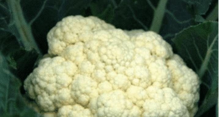 「癌细胞」炒花菜万不可放“它”，同食癌细胞“死灰复燃”，多数人全然不知