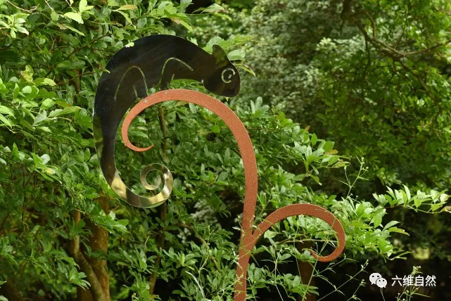 火星探测器|英一花园有只人造变色龙,能反射附近的物体,完美地躲过人类视觉