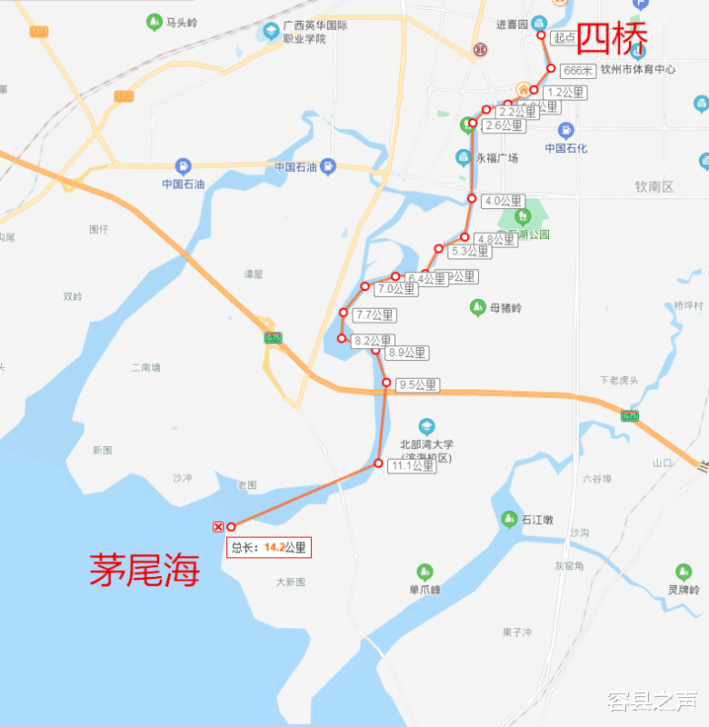 佛系|广西这条江惊现大量腊鱼，钓鱼佬天光就架吊杆在桥守\菜地\