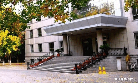 |20年，我从基层走到“一把手”，手下却成了分管领导