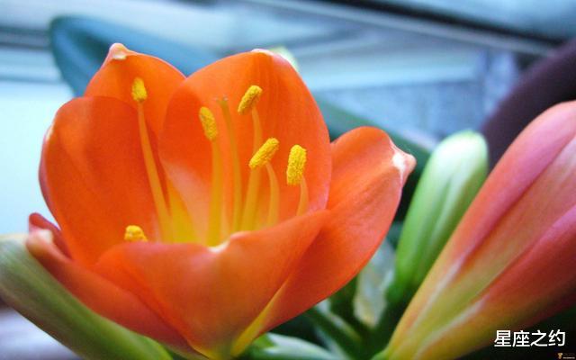 「运势」5.21-31星座运势：双子实力大增，天蝎随机应变，双鱼家庭为重