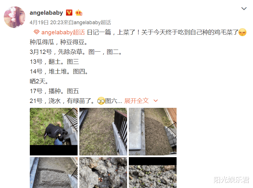 Angelababy■杨颖素颜和儿子收菜，当镜头往脸上拉近十倍，确定这是31岁？