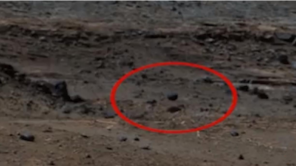 |7个存在于火星，并被好奇号拍摄到的神秘物体！