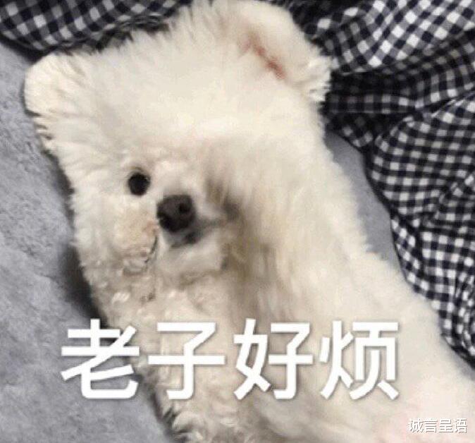 数学|没有被引导的普职比，你都不知道高考的独木桥有多窄