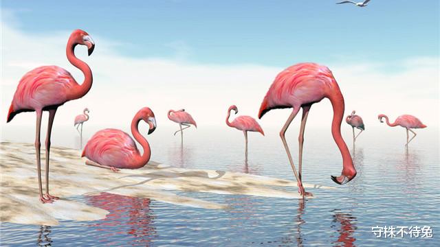 |23个冷知识：或许让人感到虚假，但却真实存在于世界