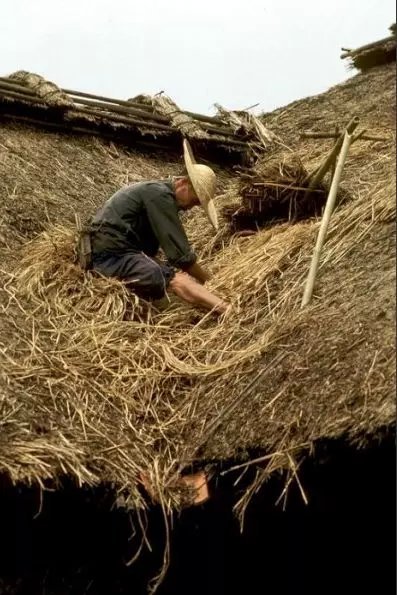 『渣滓洞』1987年农村老照片：图4让人怀念、图5已经没有、图8很熟悉