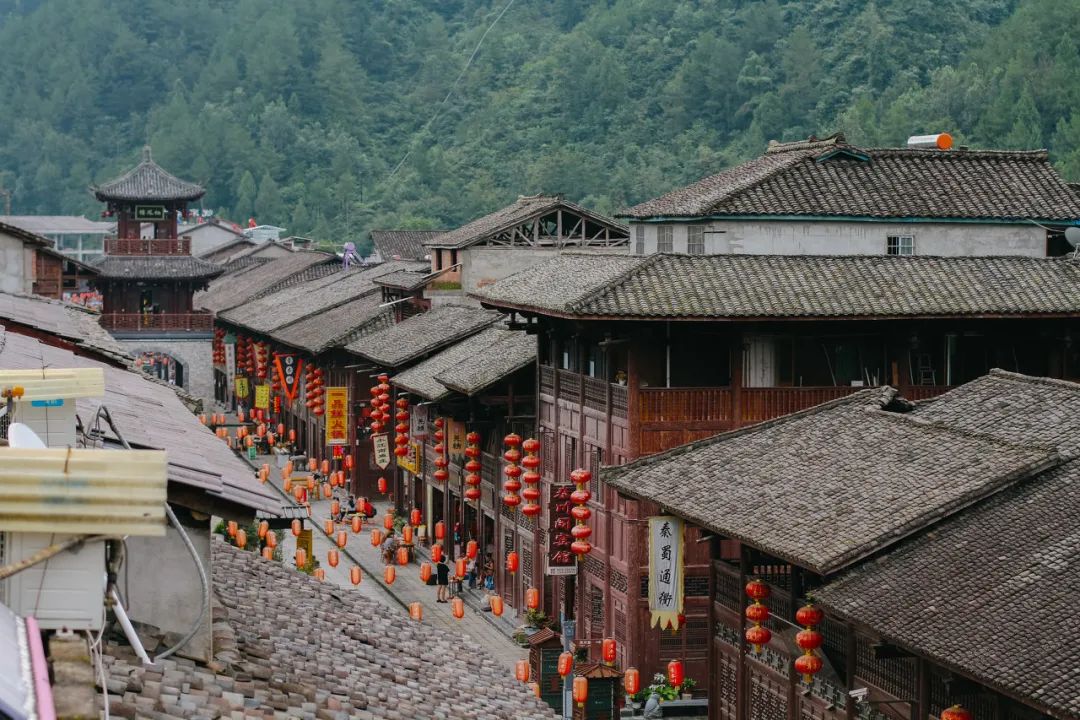 旅行|“最近，千万别去秦岭！”